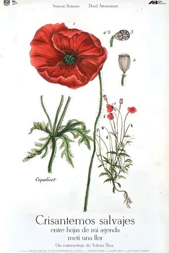 Wild Chrysanthemums Between the Pages of My Journal I Put a Flower