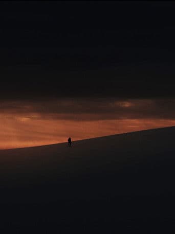 Dove gli Alberi non Parlano