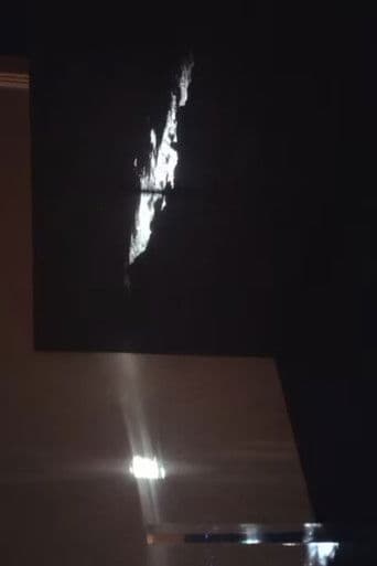 Metallic Shadow in the Dream - Window