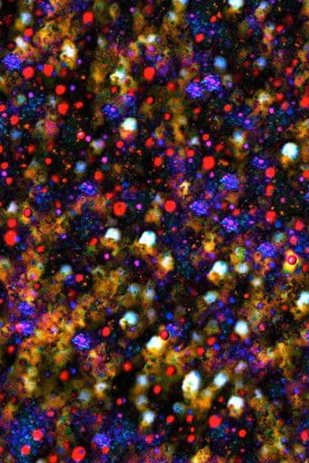 There must be some kind of way out of here