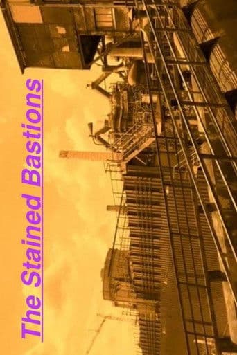 The Stained Bastions