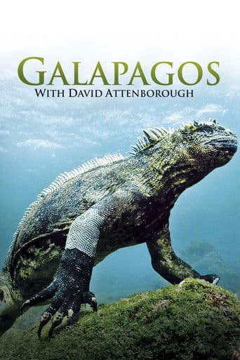 Galapagos 3D with David Attenborough