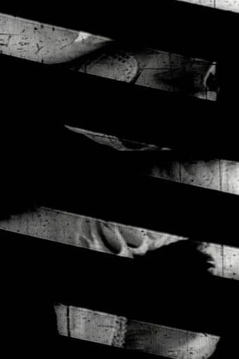 Window of the World Part 1: Hairstyle Colidascope