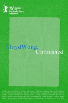Lloyd Wong, Unfinished