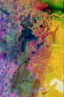 Kinski Wanted Herzog to Direct But He Turned it Down