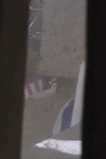 I'm a Pilot Like You