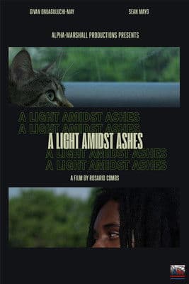 A Light Amidst Ashes