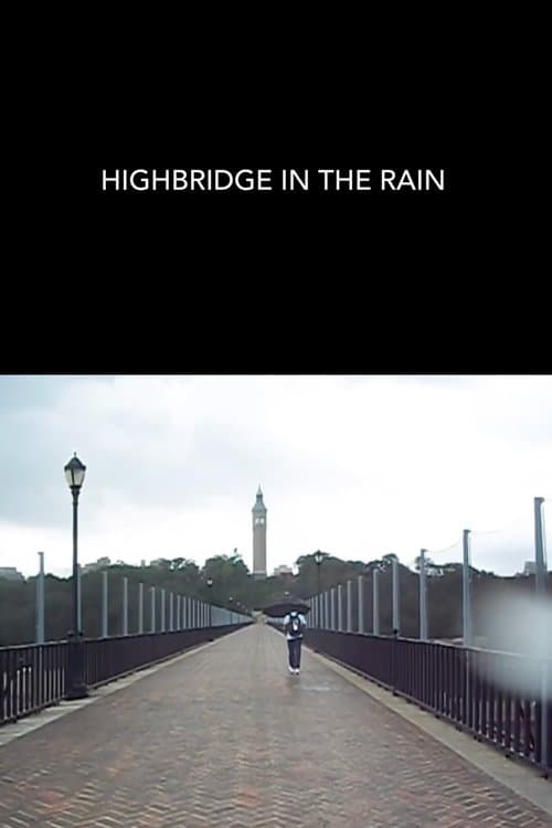 Highbridge in the Rain