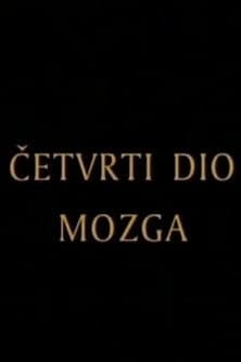 The Fourth Part of the Brain