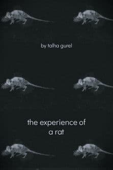 The Experience of a Rat