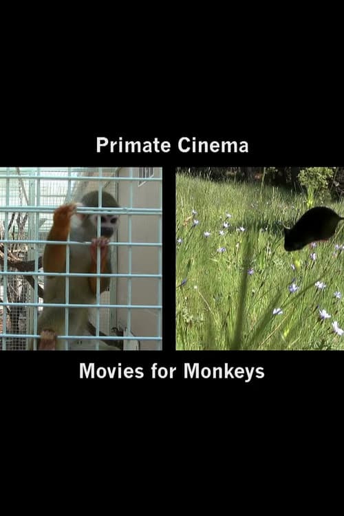 Primate Cinema: Movies for Monkeys