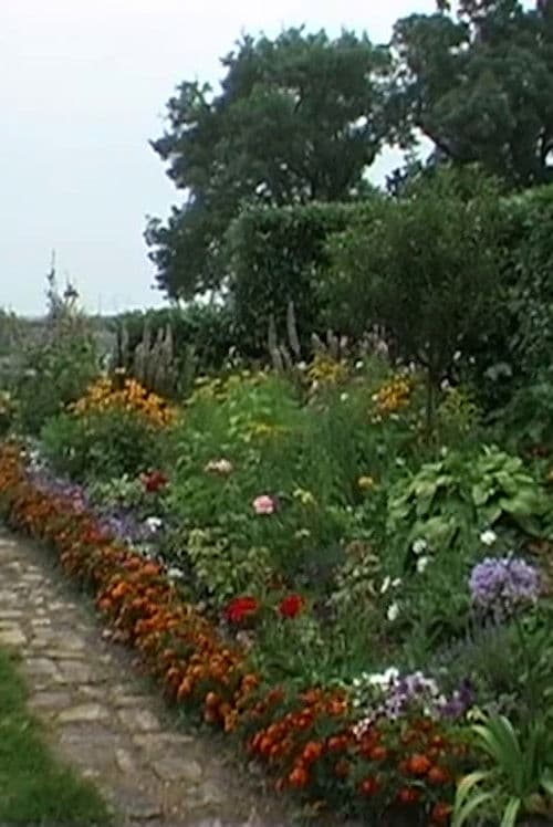 Allons-Y Alonzo: Souvenirs of a Landscape