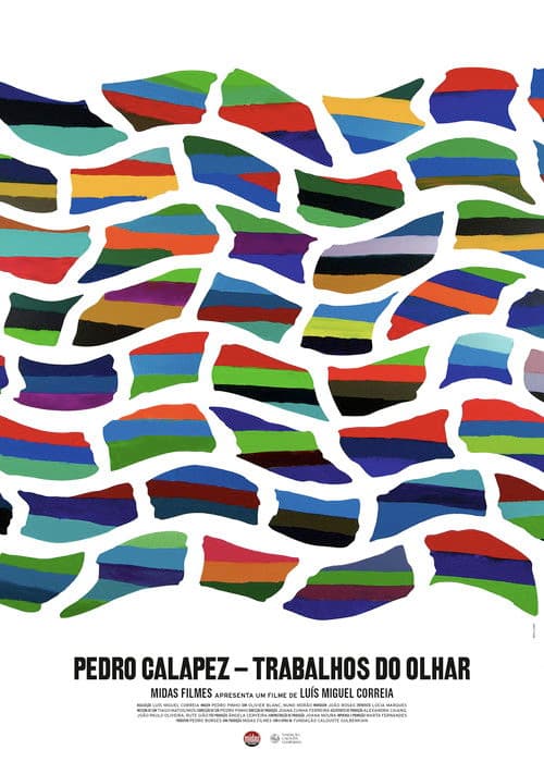 Pedro Calapez: Trabalhos do Olhar