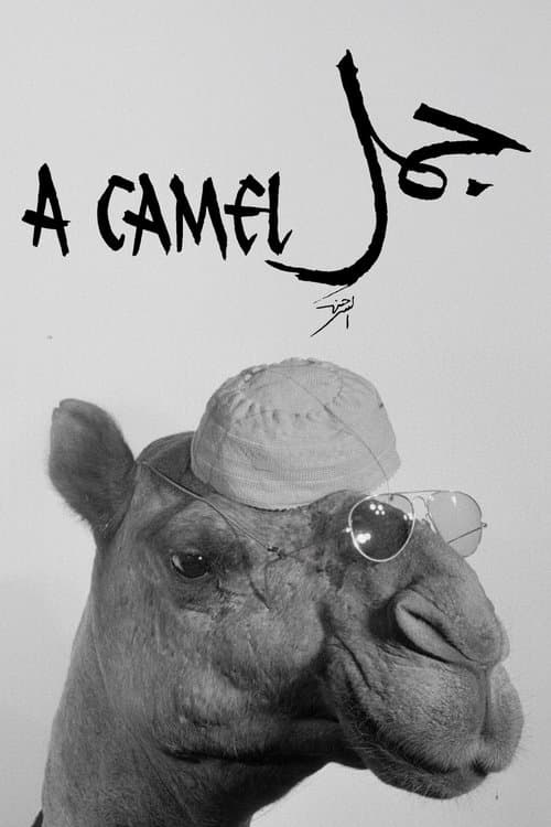 A Camel