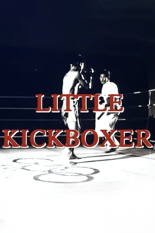 Thunder Ninja Kids: Little Kickboxer