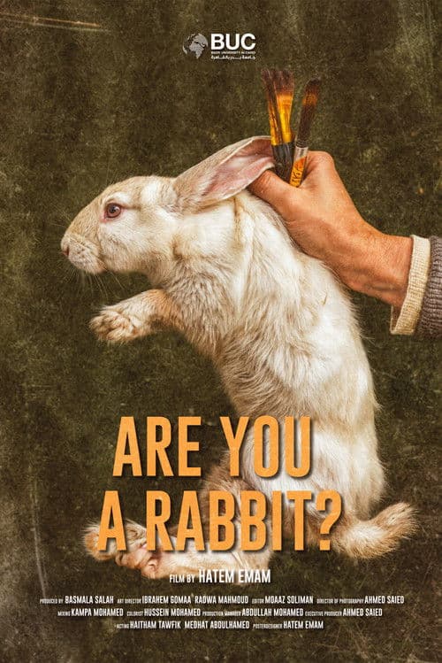 Are You A Rabbit?