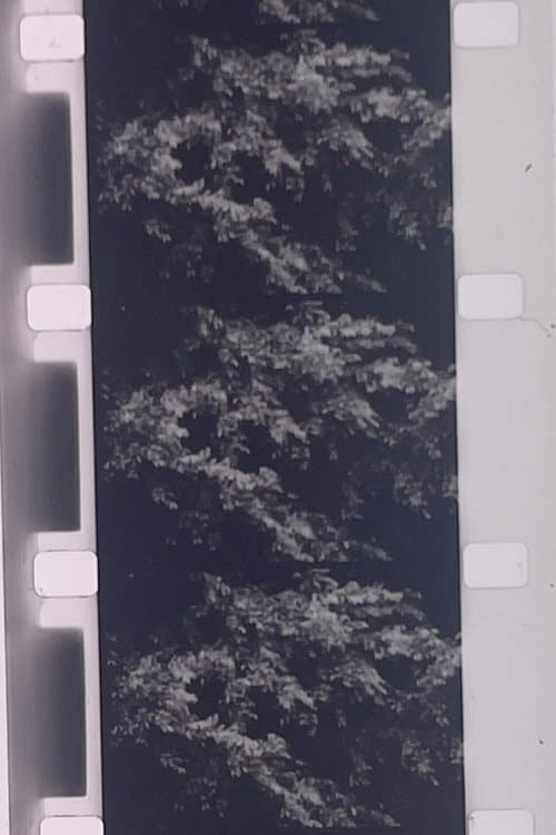 Plotting the Grey Scale: 2 or 3 Quick Traverses