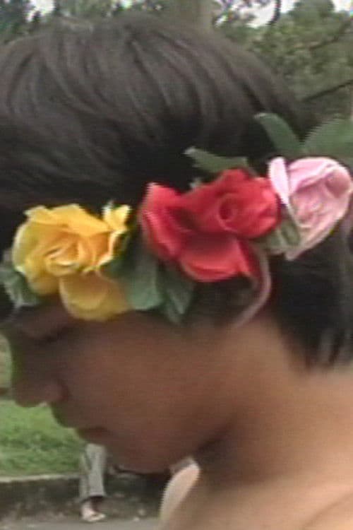 Looking for the Salt