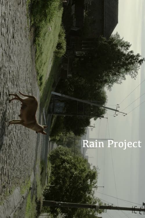Rain Project