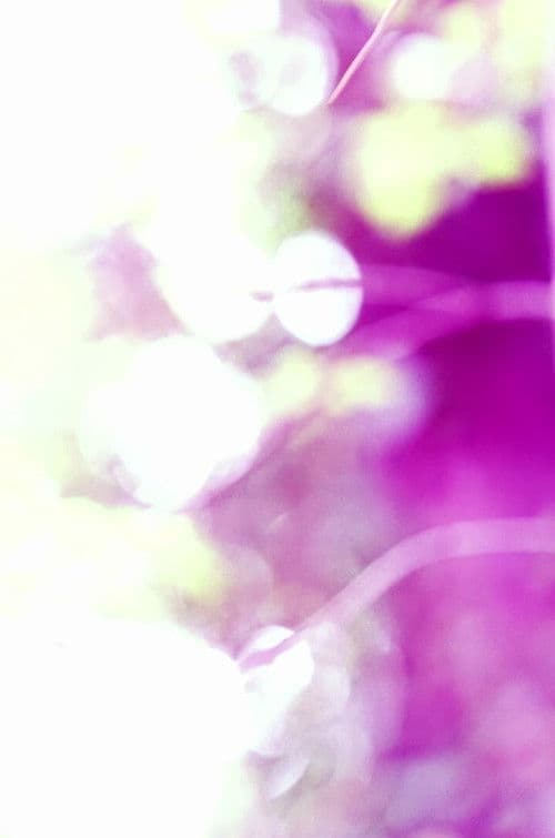 gestures toward Plant Vision