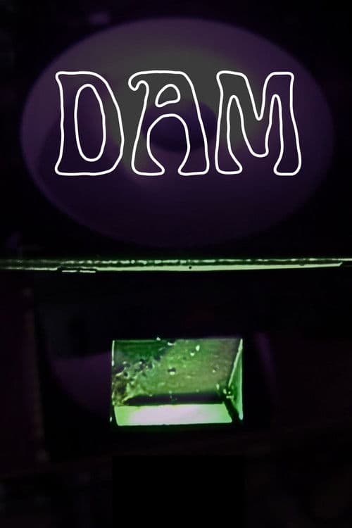 Dam