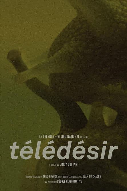 Télédésir