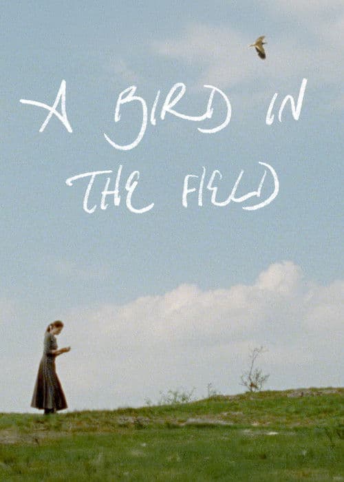 A Bird in the Field