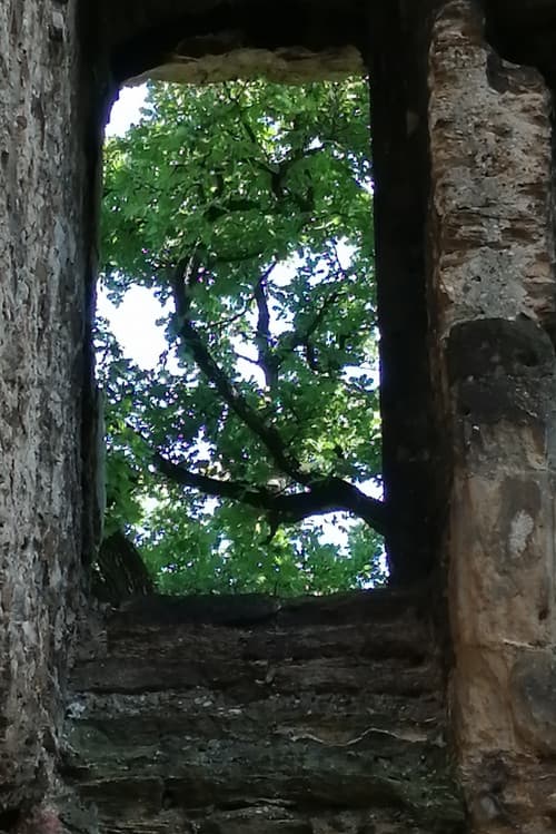 The Ruins of Seyssuel's Castle