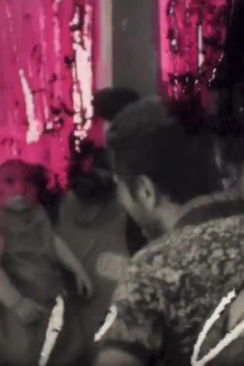 Del passeggiar filmando