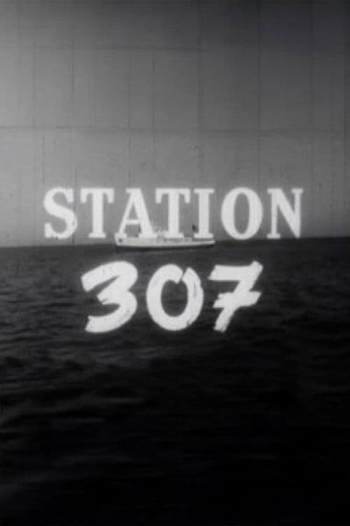 Station 307