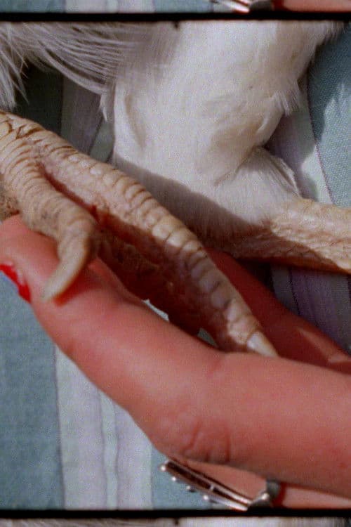 Haelgung - LeoniLeoni