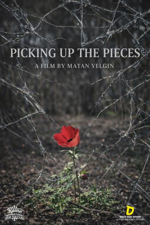 Picking Up the Pieces