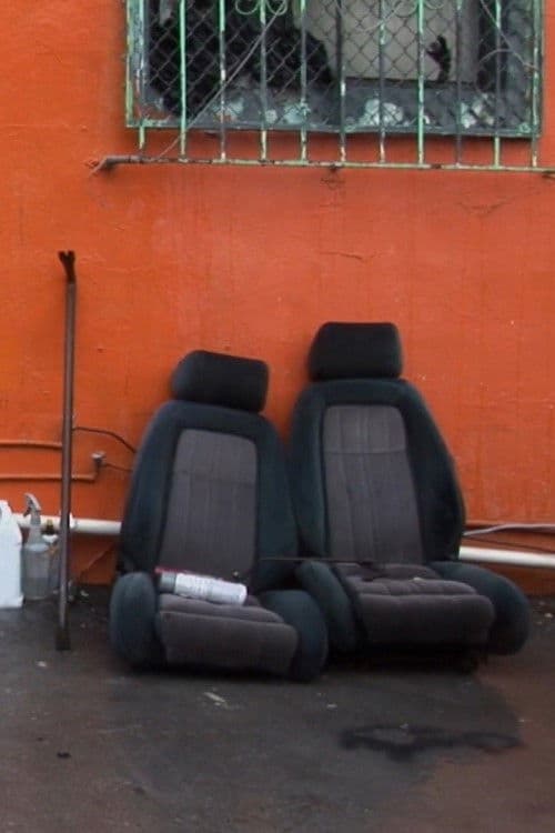 The King and the Jester